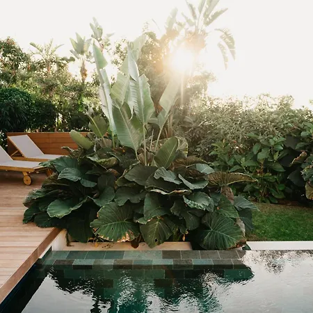 Serenity On The Cliff With Climatized Pool *